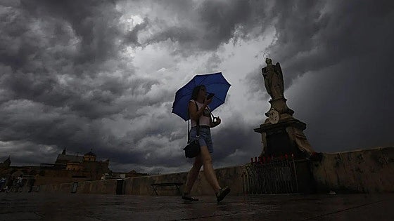 Storms on the horizon in Andalucía today: Aemet activates weather warnings in two provinces for 'strong gusts and hail'