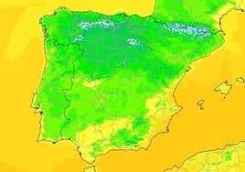 Aemet warns of storms and frost due to the arrival of polar air in Spain: the areas with sub-zero temperatures.
