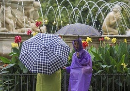 Aemet warns of arrival of new storm in Spain with heavy rain and storms in these areas.