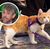 Veterinarian Victor Algra on whether cats should be walked like dogs: 'They don't function the same way'
