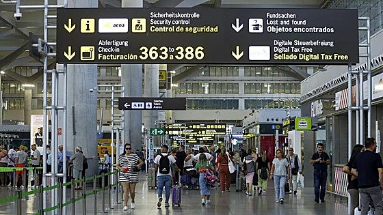 Malaga airport staff complain of the presence of bugs via social media