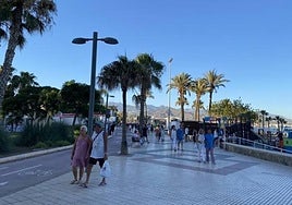 Eastern Costa del Sol town to host international telehealth conference