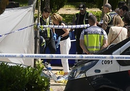 Former Ukrainian pro-Russian leader shot dead outside his children's school in Madrid