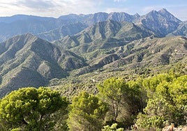Panoramic view of part of the peaks of the Sierras Tejeda, Almijara and Alhama Natural Park.