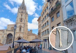 The area where the femur fell (in the circle).