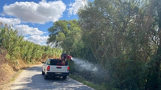 Recent rain followed by rising temperatures increases risk of West Nile Virus spreading in south of Spain this summer