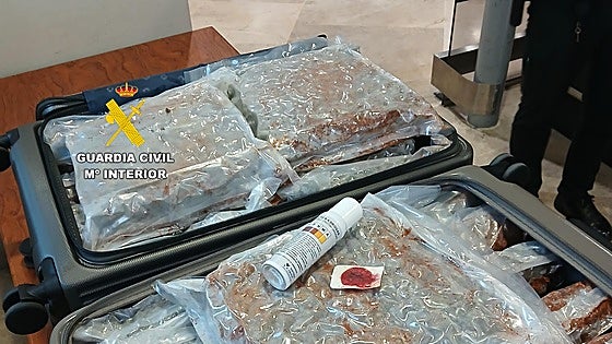 Two British 'tourists' arrested at airport in Spain with 33 kilos of marijuana hidden in suitcases