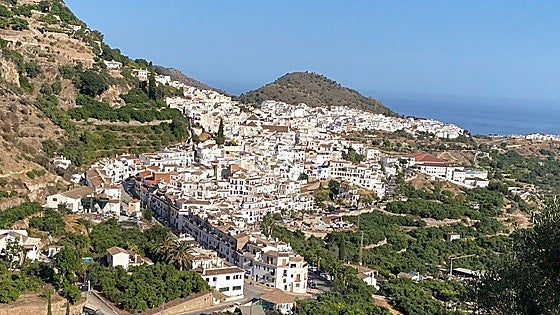 Investigation under way following report of animal cruelty in Malaga province town popular with foreign residents