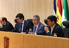 Francisco Salado, in the centre, during the plenary session of the Malaga provincial authority.