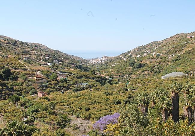 View of the valley with the sea in the background.