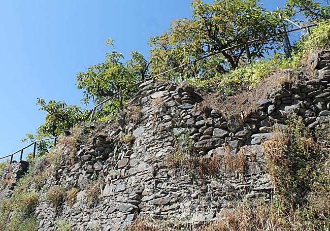 Balates abound in this area.