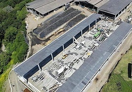 Three people dead after farm livestock building collapse in northern Spain