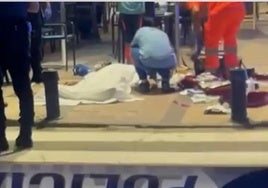 Hitman disguised as father pushing pram preceded double murder of gangsters at Irish bar in Fuengirola