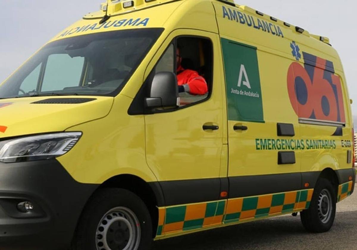 Cop accidentally shoots himself in leg during police operation in Malaga province