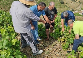 The mayors of El Borge and Almáchar, in one of the affected estates.
