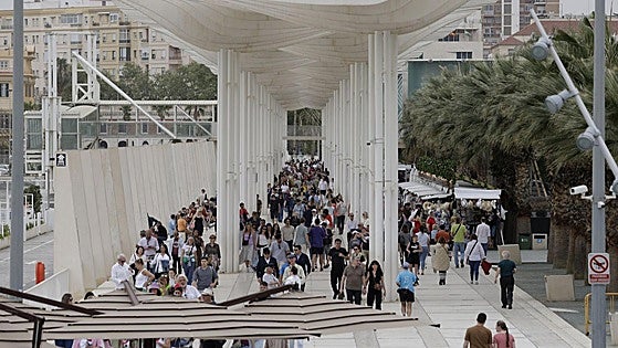 How many foreigners living in Malaga province have obtained Spanish nationality in the last decade and where are they from?