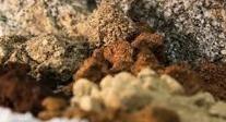 Rare earths