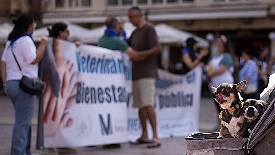 Pet owners and vets march in Malaga in protest against Spain's new veterinary medicines law