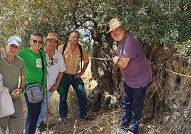 Participants in the initiative, next to one of the ancient olive trees in Vélez-Málaga.