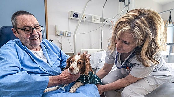 The healthcare facility in Spain's Basque Country that allows pet dogs to visit their hospitalised owners