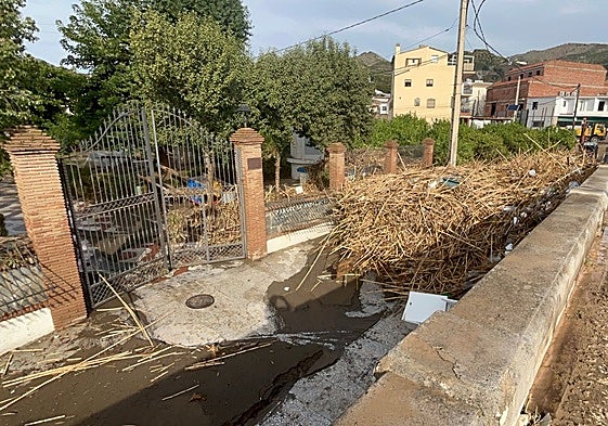 Reeds and rubbish deposited by the floods in Benamargosa in November 2024.