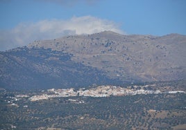 Periana.