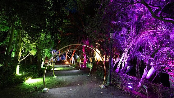 Malaga botanical garden will once again host a sound and light show this Christmas