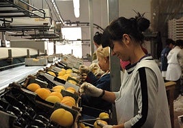 Spain hits record three million foreign workers contributing to social security system