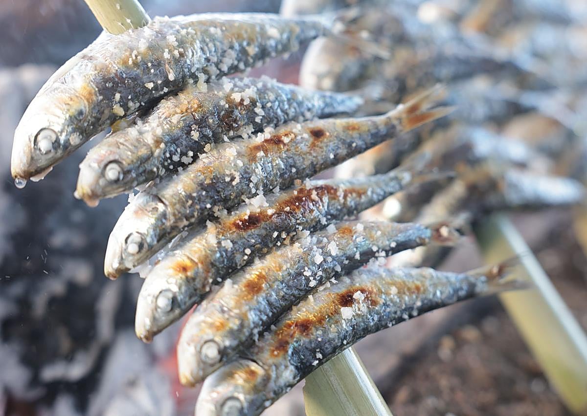 Imagen secundaria 1 - Salvador Salas