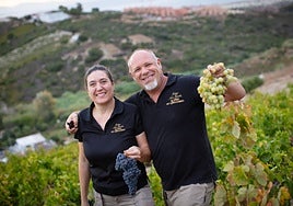 Manilva offers more than sun and sea: discover the taste of its wines