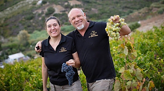 Manilva offers more than sun and sea: discover the taste of its wines