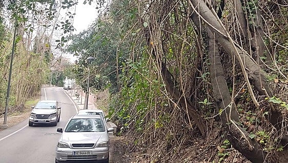 Residents up in arms about 'jungle' danger in Torremolinos street