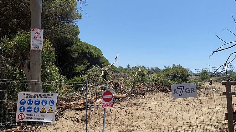 Work begins on section 14 of Estepona's coastal path - Las Dunas de Matas Verdes