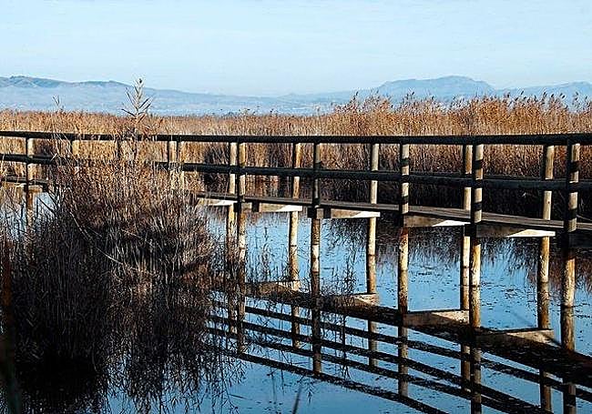The El Hondo wetlands is made up of multiple lagoons