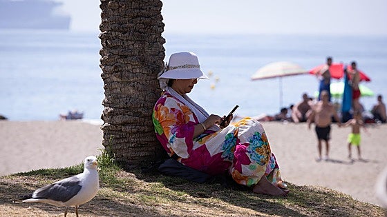 Capital of Costa del Sol among 'Top 5' most sought-after destinations by Spaniards for holidays this month