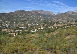 Image of scattered rural properties in Alcaucín.