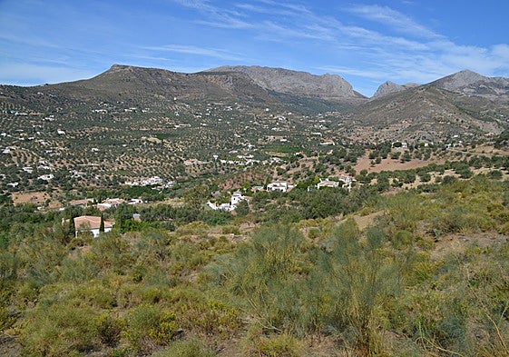 Image of scattered rural properties in Alcaucín.