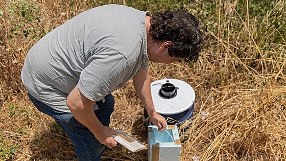 West Nile Virus in Malaga: how many infected people are there and where are mosquito traps set in the province?