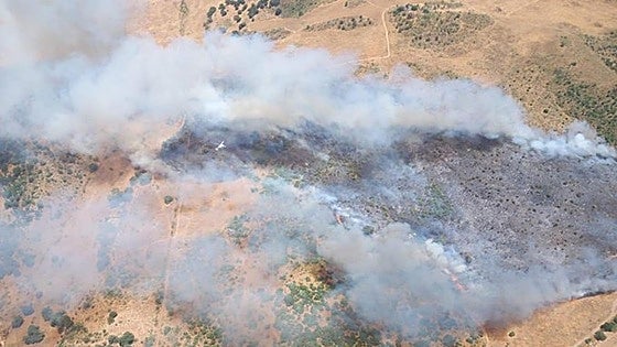 Video: Eleven aircraft and more than 50 specialists on the ground stabilise major wildfire in Montecorto