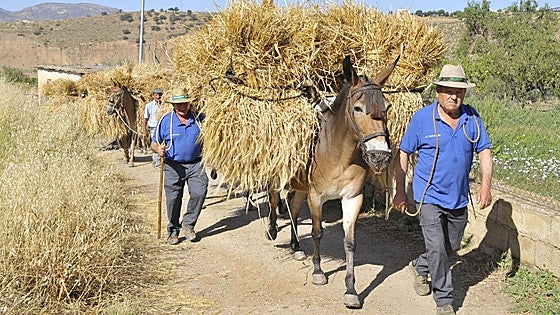 The Alpujarra village in southern Spain that has gone back in time to recreate an ancient agricultural practice