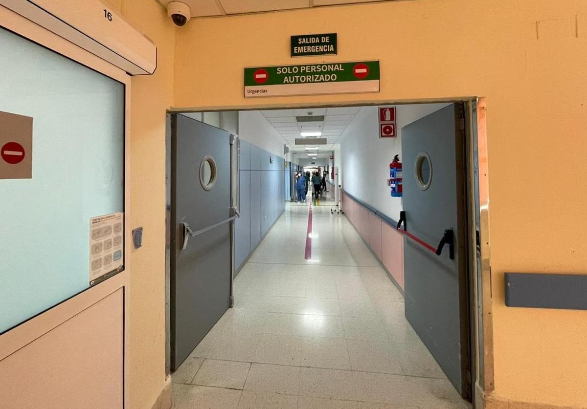 Needle-spiking investigation after foreign tourist reports sexual assault in Malaga club