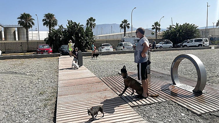 The Costa Tropical beach in Spain that's top dog for pooches