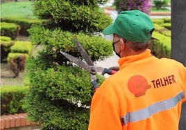 The UTE formed by Integra and Talher will be in charge of the service.