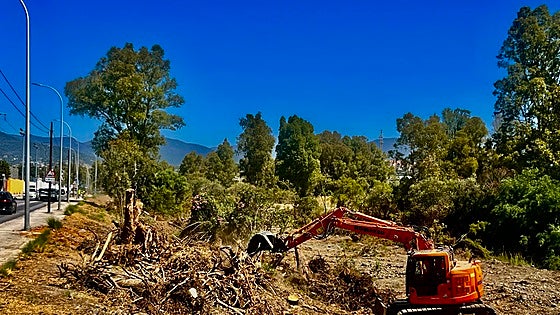 Renaturalisation of Marbella river begins in bid to prevent flooding