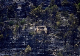 Photo of the charred landscape in Paüls, in Tarragona.
