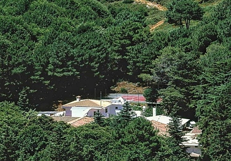 The hotel surrounded by pine trees.