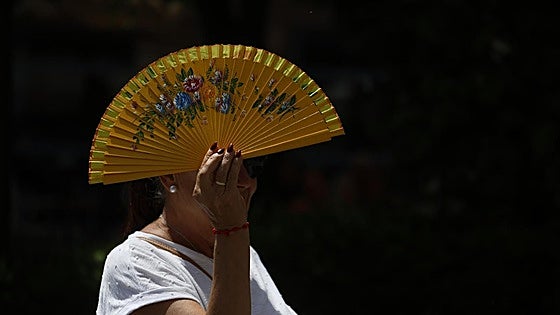 Heat returns to southern Spain with four provinces under amber warnings for maximum temperatures of up to 42C