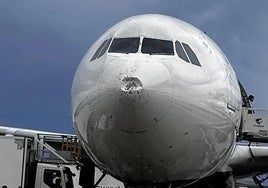 Image of the aircraft with the front part damaged.