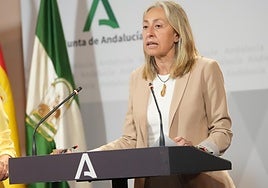 Regional health minister, Rocío Hernández.