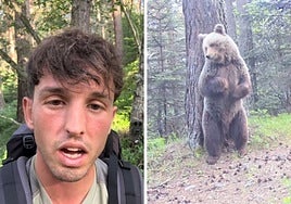 Man left 'speechless' after capturing amazing footage of wild brown bears in Spain